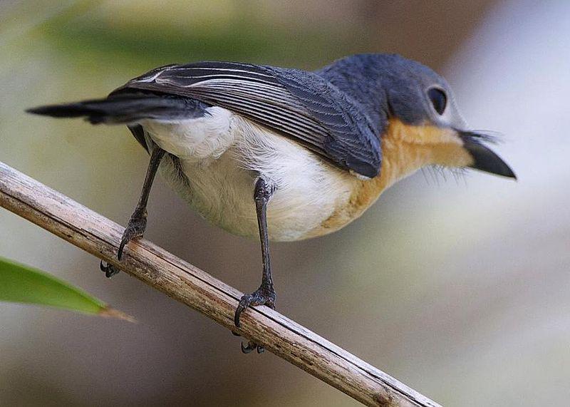 �ؾ������l��ͼƬ