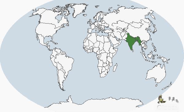 �س�����