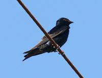 �Ű������ͼƬ