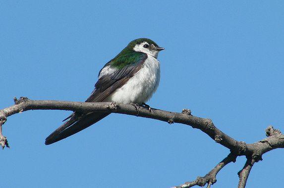 �͹�������