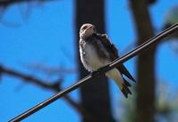 �ڶ�������