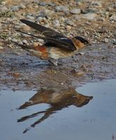 Ѩ�����ͼƬ