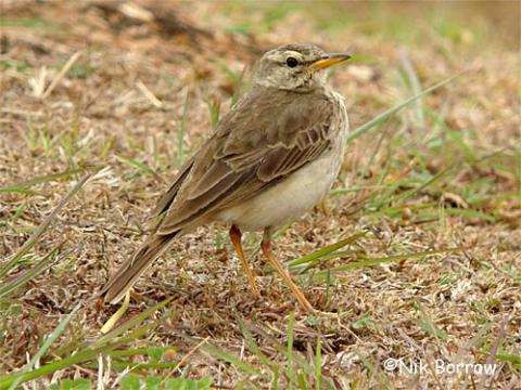 �����ҵ�ͼƬ