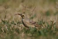 ��β�ҵ�ͼƬ