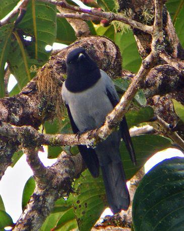 �ڹھ��V��ͼƬ