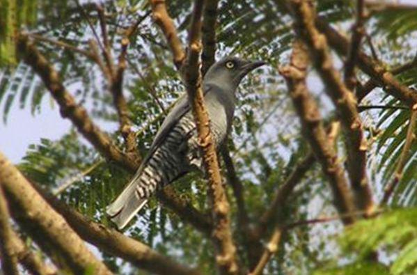 �߸����V��ͼƬ