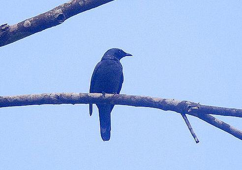 �������V��ͼƬ