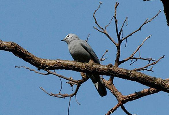 ���޻Ҿ��V��ͼƬ