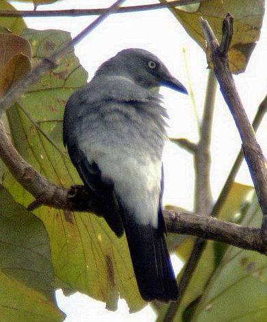 �������V