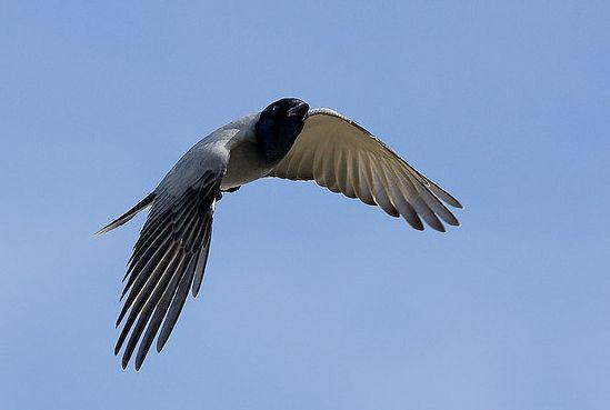 ���Ͼ��V��ͼƬ