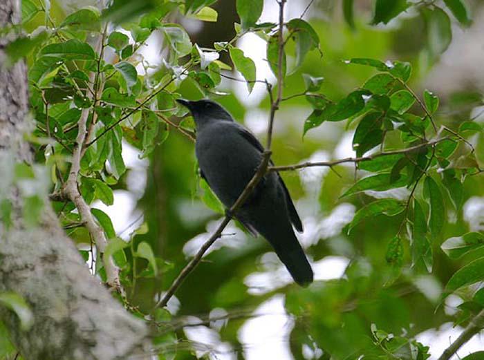 ��ɽ���V��ͼƬ