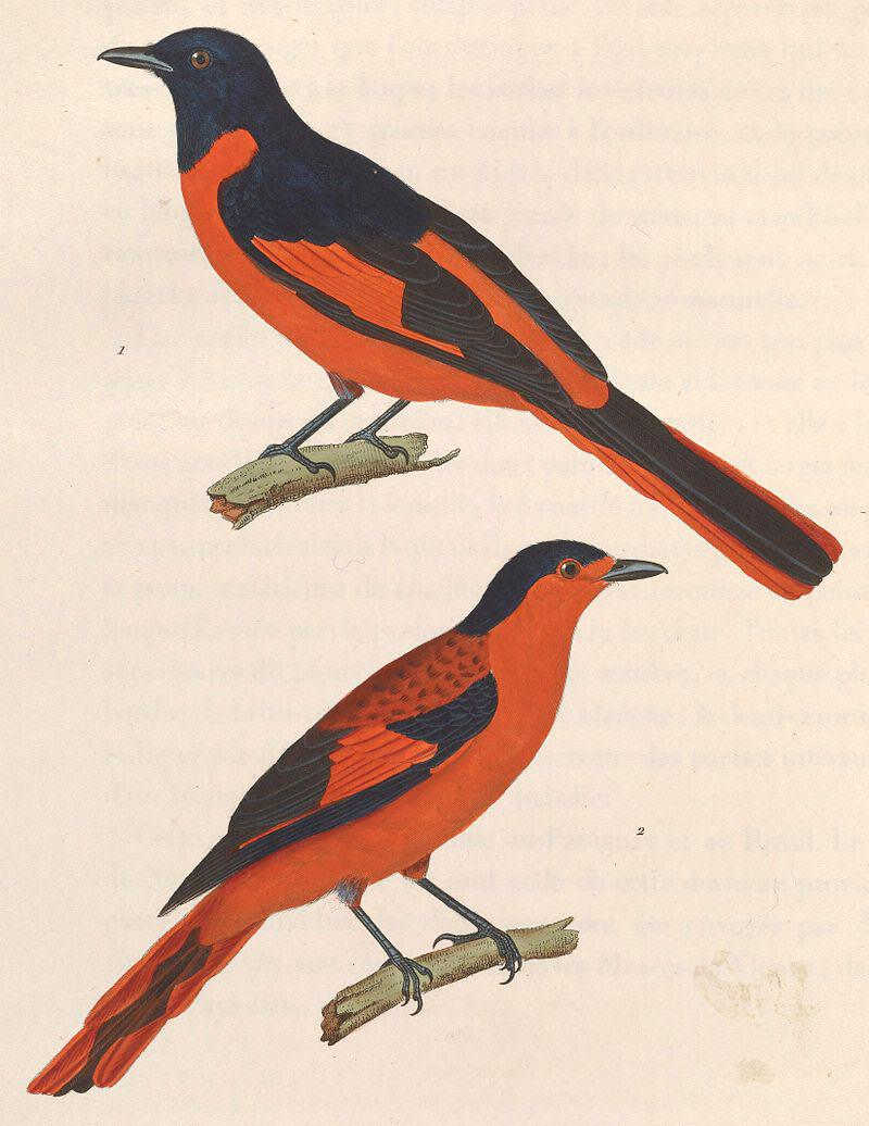 ����ɽ�����ͼƬ