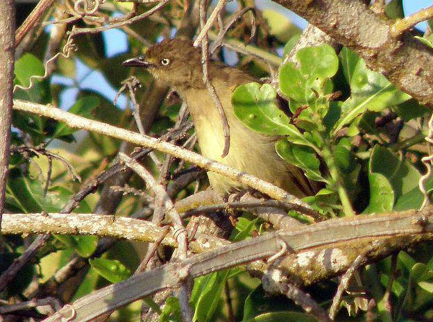 ������ľ�ǵ�ͼƬ