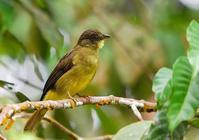 ���Ϲ��ǵ�ͼƬ