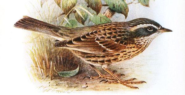 Ҳ�����ҵ�ͼƬ