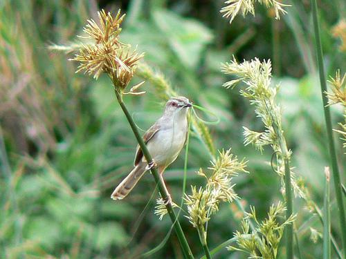 ��вɽ��ݺ��ͼƬ