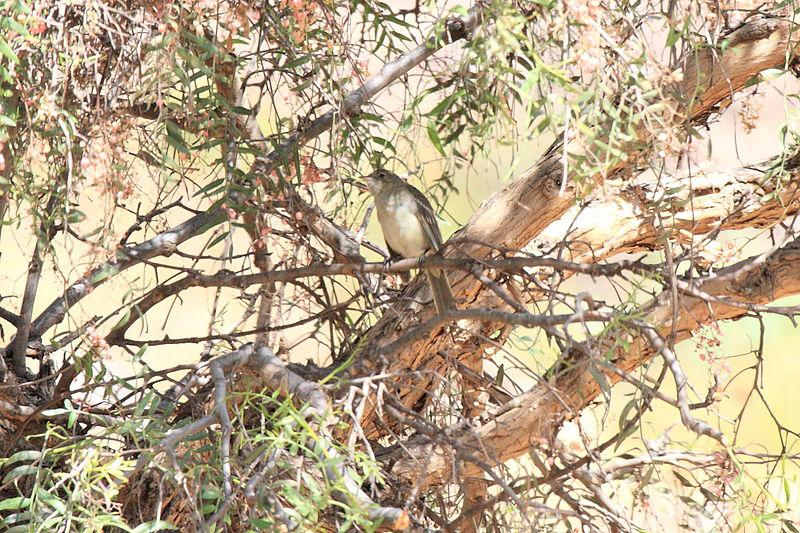 ��ԭ����l��ͼƬ