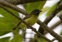 �ֶ�С���l��ͼƬ