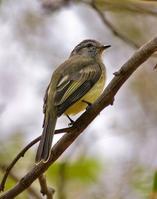 ̫ƽ�������l��ͼƬ