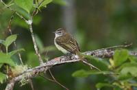 ����������l