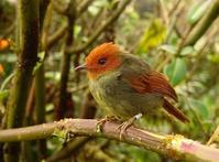 ��ͷ٪���l