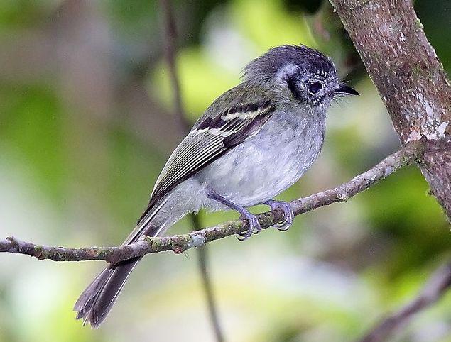 ��������l��ͼƬ