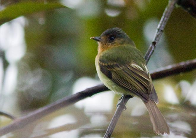 ����խ����l