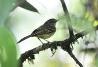 ��϶�������l��ͼƬ