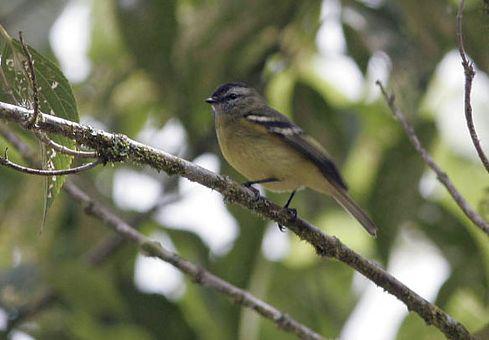 �ڶ�С���l��ͼƬ