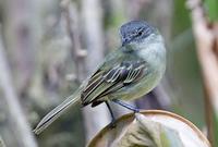 ϸ��С���l