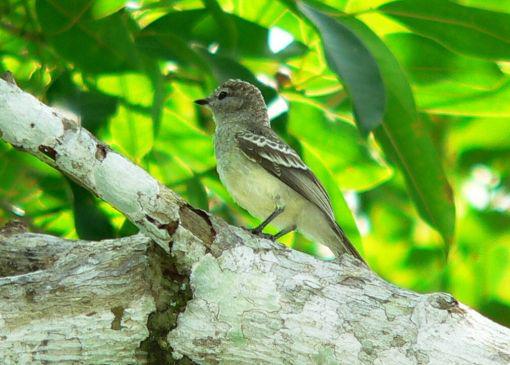 ����ѷ��԰��l��ͼƬ