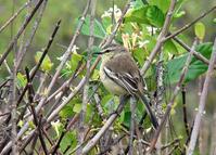 С���l��ͼƬ