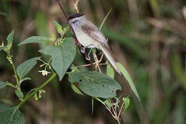 ����ȸ���l��ͼƬ