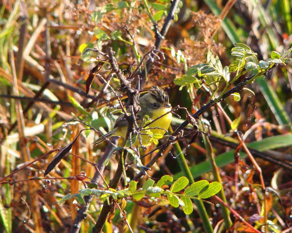 �ڶ������l��ͼƬ