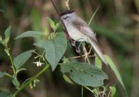 ����ȸ���l