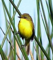 ���ȴ��������l��ͼƬ