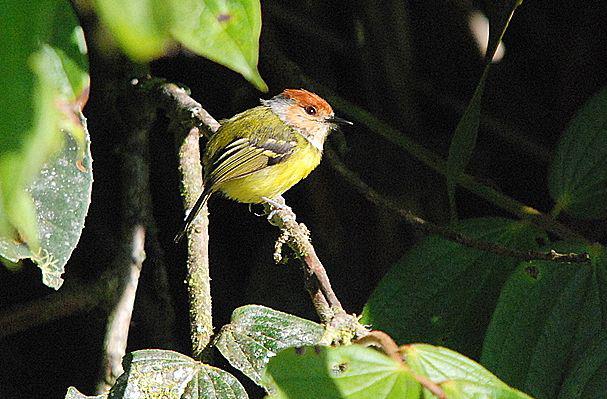 �ض��ư��l