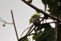 ����٪���l��ͼƬ