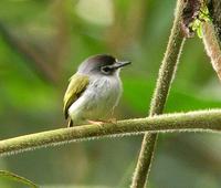 �ڶ�٪���l