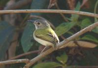 ��β٪���l