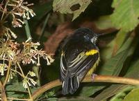 �ڱ��ư��l��ͼƬ