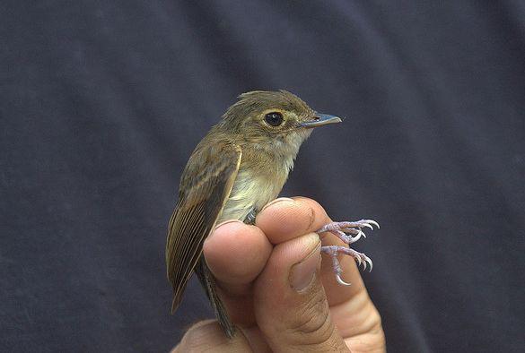 ���ڲ���ȸ��ͼƬ