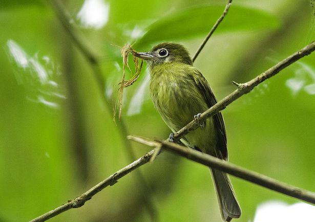 �ۻ�������l