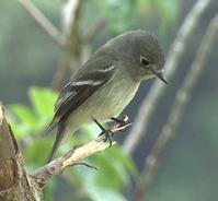 �����ư��l