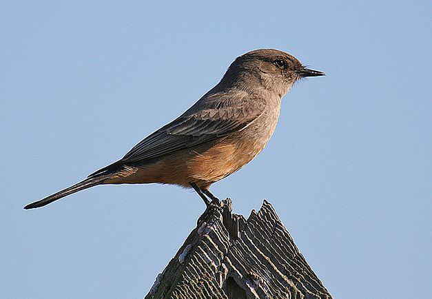 �ظ���β���l