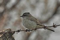 �ڶ��ɰ��l��ͼƬ