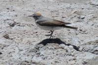 �ؾ��ذ��l