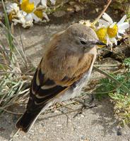 �ر�С���l��ͼƬ