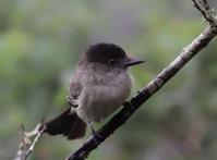 �������l