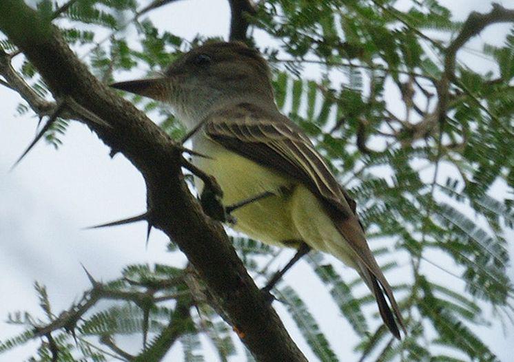 ί������Ӭ���l��ͼƬ